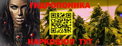 дурь Заводоуковск