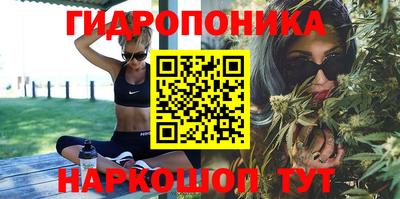дурь Заводоуковск