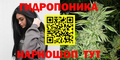 МДПВ Заволжье